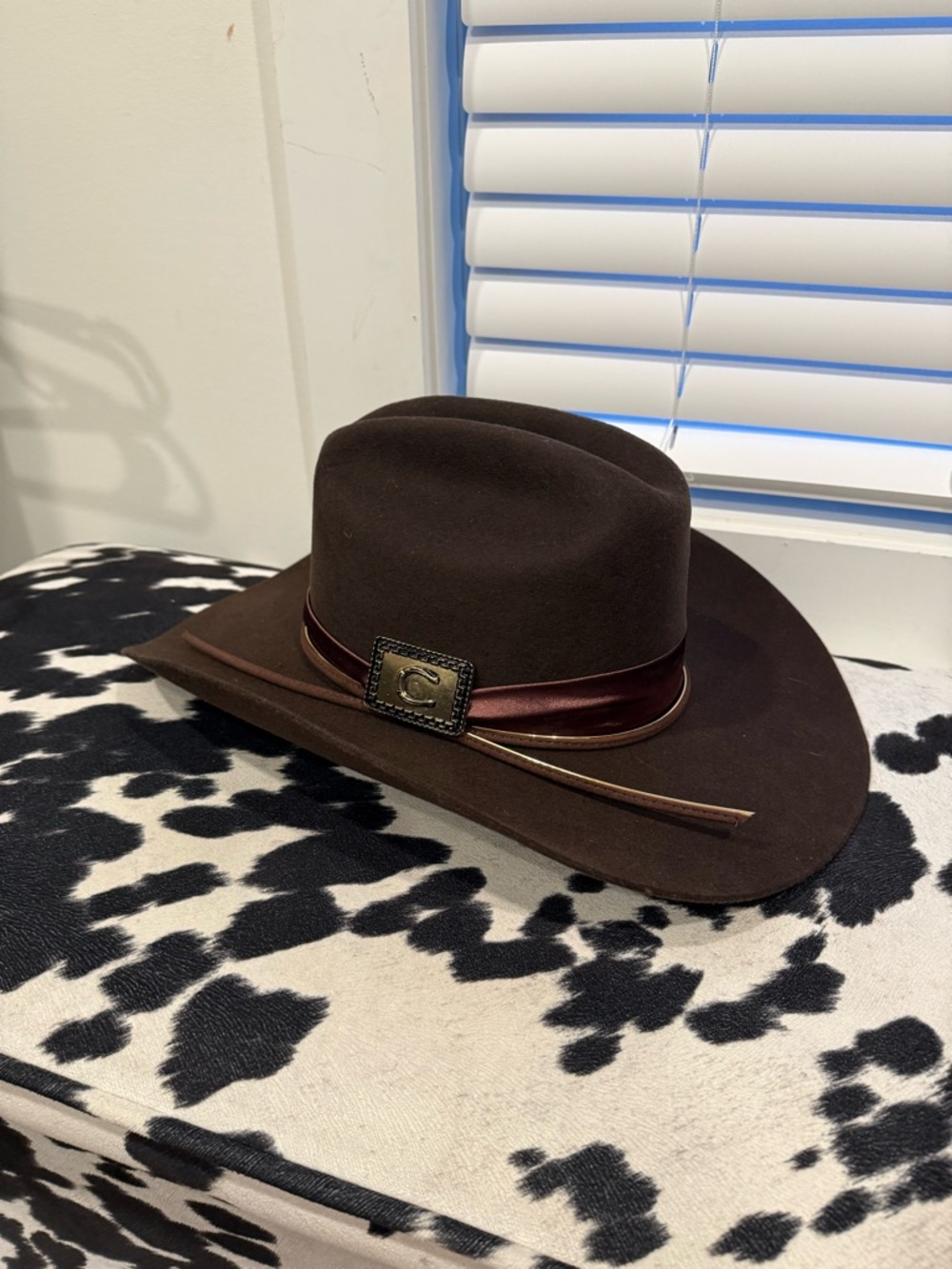 Lainey Wilson Charlie 1 Horse Collab Brown Felt Cowgirl Hat